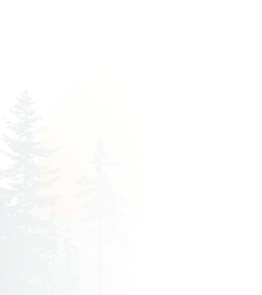 bg-image
