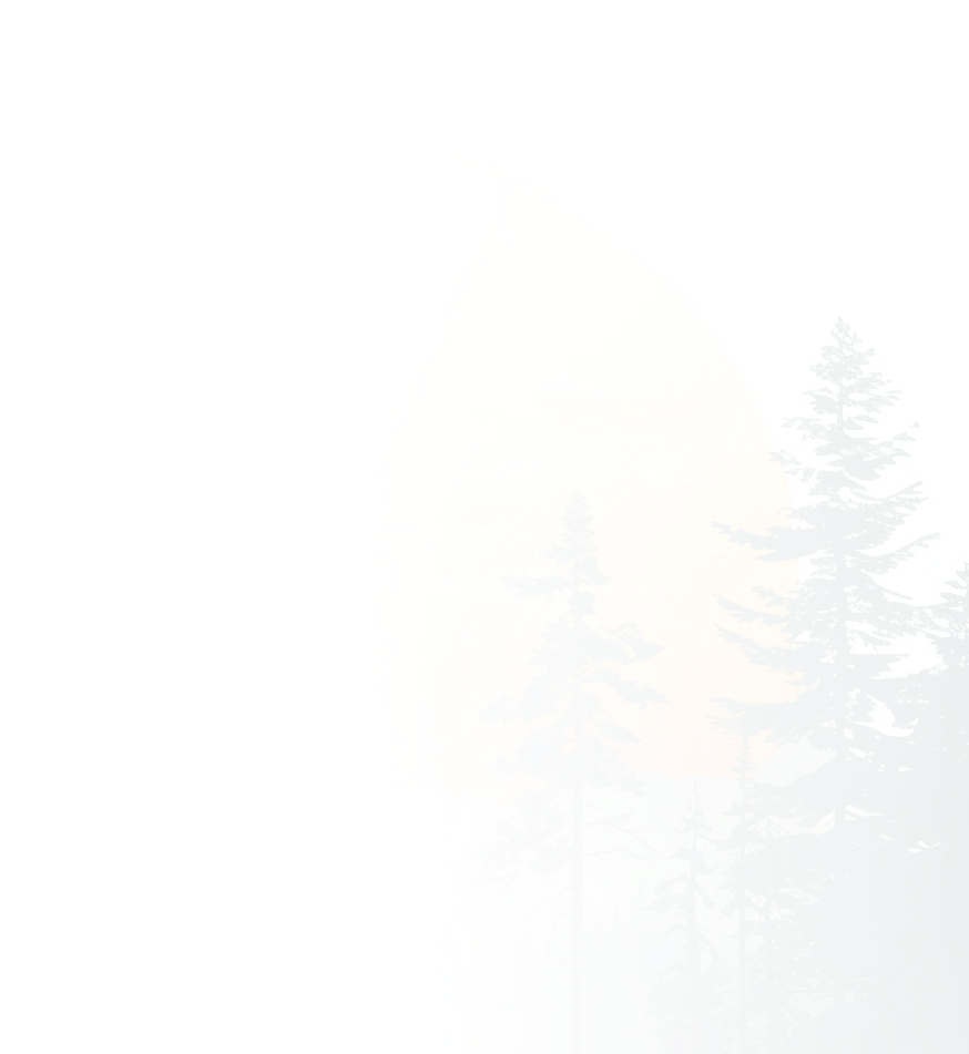 bg-image